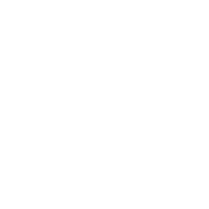 CIO Momentum Series icon