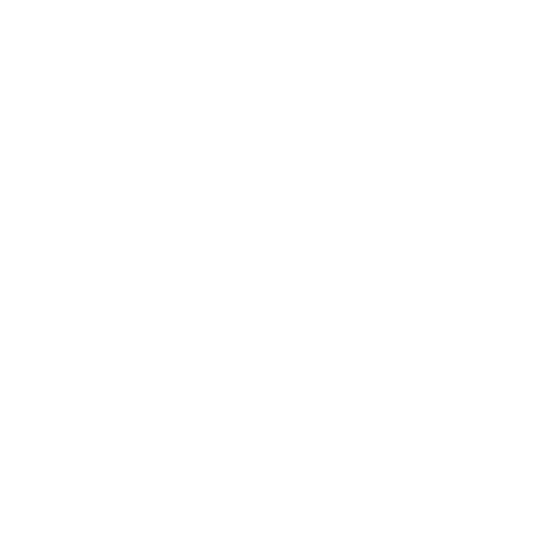 Ignite Momentum icon
